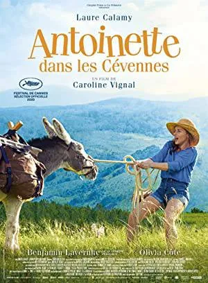 فيلم My Donkey My Lover I 2020 مترجم HD